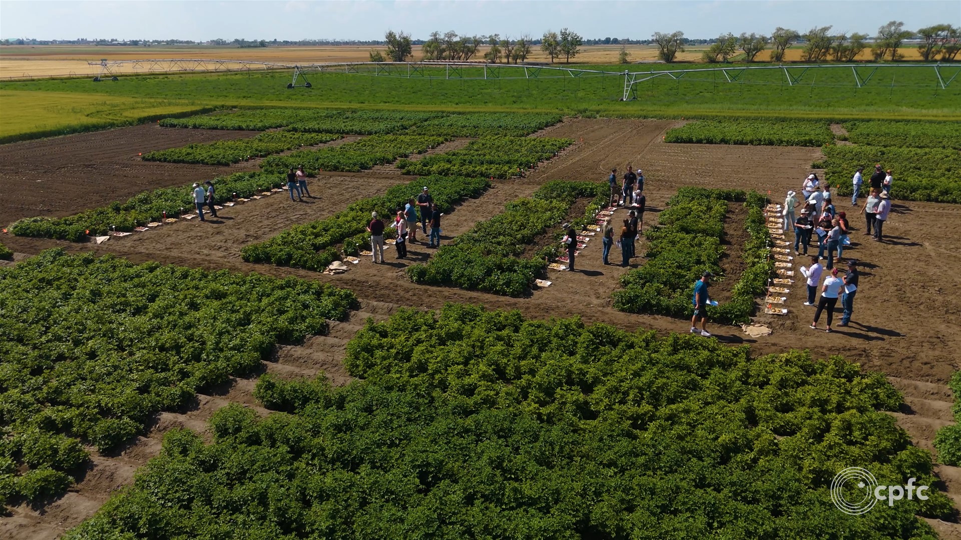 Canada's Premier Food Corridor